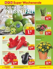 Aktueller Netto Marken-Discount Prospekt mit Balkonpflanzen, "Aktuelle Angebote", Seite 52
