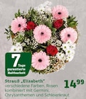 Strauß "Elisabeth" von  im aktuellen Pflanzen Kölle Prospekt für 14,99 €