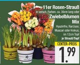 11er Rosen-Strauß oder Zwiebelblumen Mix von  im aktuellen EDEKA Prospekt für 1,99 €