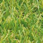 Kunstrasen Jasmin Angebote bei Hornbach Kaiserslautern für 12,95 €