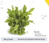 Aktuelles Rucola Angebot bei Metro in Dresden