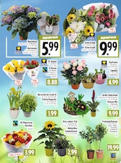 Gillette im EDEKA Prospekt in Gießen Aktueller EDEKA Prospekt mit Gillette, "Aktuelle Angebote", Seite 5