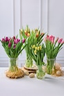 15 Tulipes - U à 6,59 € dans le catalogue U Express