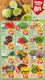 Salat im aktuellen REWE Prospekt (Stuttgart) Salat im REWE Prospekt "Dein Markt" mit 18 Seiten (Stuttgart)