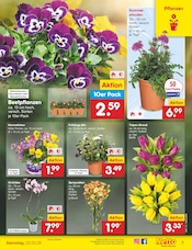 Aktueller Netto Marken-Discount Prospekt mit Blumen, "Aktuelle Angebote", Seite 9