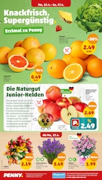 Grapefruit Angebot im aktuellen Penny-Markt Prospekt auf Seite 2