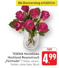 Hochland Rosenstrauß „Fairtrade“ Angebote von EDEKA Herzstücke bei EDEKA Koblenz für 4,99 €