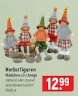 Herbstfiguren im Angebot bei famila Nordost in Buchholz Herbstfiguren Angebote bei famila Nordost Buchholz für 12,99 €