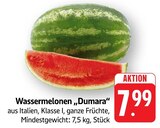 E center Nürtingen Prospekt mit  im Angebot für 7,99 €