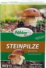 Steinpilze im Angebot bei Netto Marken-Discount in Aurich Steinpilze Angebote von Niklas bei Netto Marken-Discount Aurich für 2,69 €