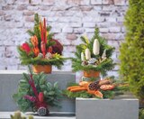Angebot im toom Baumarkt Mühlacker Prospekt toom Baumarkt Mühlacker Prospekt mit im Angebot für 7,99 €