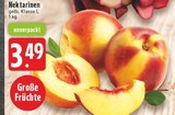 E center - Nektarinen Angebot im Prospekt Nektarinen bei E center im Prospekt "" für 3,49 €