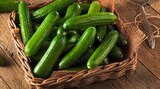 Mini Gurken bei REWE im Grimmen Prospekt für 1,35 €