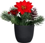 Weihnachtsstern mit Tannengrün, rot im Angebot bei dm-drogerie markt in Lahr Weihnachtsstern mit Tannengrün, rot Angebote von Dekorieren & Einrichten bei dm-drogerie markt Lahr für 4,25 €