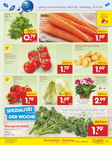 Pflanzen im Netto Marken-Discount Prospekt "Aktuelle Angebote" mit 57 Seiten (Gelsenkirchen)