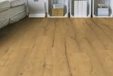 Aktuelle Laminat Angebote bei Hagebaumarkt in Bochum Aktuelles Laminat „Aqualine EcoSilent“ Angebot bei Hagebaumarkt in Bochum ab 14,99 €