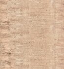 Aktuelle Schweinefleisch Angebote bei REWE in Fürth Aktuelles Kasseler-Minuten-Lachs Angebot bei REWE in Fürth ab 4,44 €