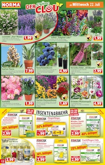 Kerzen im aktuellen Norma Prospekt (Mannheim) Kerzen im Norma Prospekt "Mehr fürs Geld" mit 19 Seiten (Mannheim)