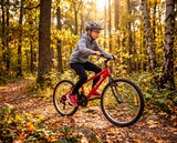 VTT 24" First - TOPLIFE - Carrefour à Calais VTT 24" First - TOPLIFE en promo chez Carrefour Calais à 159,99 €