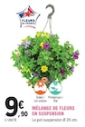 Mélange de fleurs en suspension à 9,90 € dans le catalogue E.Leclerc