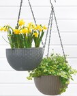 Blumentopf hängend von Netto Eigenmarke Garden Dream im aktuellen Netto mit dem Scottie Prospekt für 5,99 €