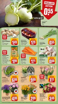 Hortensie im aktuellen REWE Prospekt (Lübeck) Hortensie im REWE Prospekt "Dein Markt" mit 30 Seiten (Lübeck)