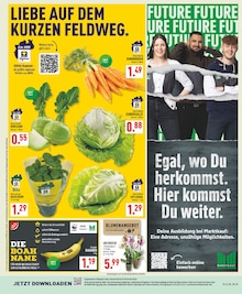 Pflanzen im aktuellen Marktkauf Prospekt (Dortmund) Pflanzen im Marktkauf Prospekt "Aktuelle Angebote" mit 34 Seiten (Dortmund)