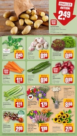 Knoblauch im REWE Prospekt in Kiel Aktueller REWE Prospekt mit Knoblauch, "Dein Markt", Seite 7
