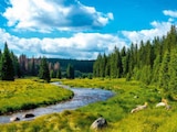 Aktuelle Reis Angebote bei Netto Marken-Discount in Essen Aktuelles URLAUB IM BAYERISCHEN WALD Angebot bei Netto Marken-Discount in Essen ab 229,00 €
