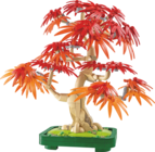 10348 - Bonsai d'Érable Rouge du Japon - LEGO en promo chez JouéClub 10348 - Bonsai d'Érable Rouge du Japon - LEGO dans le catalogue JouéClub