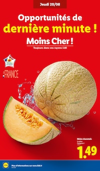 Promotion Melon dans le prospectus Lidl, valable du 20/08/2026 au 26/08/2026 Promo Melon dans le catalogue Lidl du moment à la page 4
