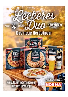 Pizza im Norma Prospekt "Mehr fürs Geld" mit 27 Seiten (Koblenz)
