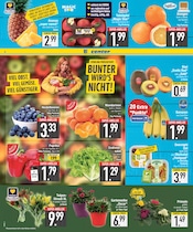 Äpfel im EDEKA Prospekt in Ingolstadt Aktueller EDEKA Prospekt mit Äpfel, "Wir lieben Lebensmittel.", Seite 2