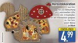 Herbstdekoration im Angebot bei E center in Rosenheim Herbstdekoration Angebote bei E center Rosenheim für 4,99 €