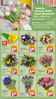 Gartenerde im REWE Prospekt "Dein Markt" mit 30 Seiten (Freiburg (Breisgau))