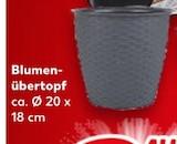 Kaufland Ingolstadt - Blumenübertopf Angebot im Prospekt Blumenübertopf bei Kaufland im Ingolstadt Prospekt für 2,00 €