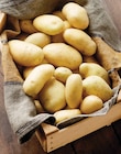 Intermarché Super Douchy-les-Mines - Promo Pommes de Terre de Consommation Nouvelle Récolte Promo Pommes de Terre de Consommation Nouvelle Récolte à 1,99 € dans le catalogue Intermarché Super à Douchy-les-Mines