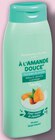 Shampooing 2 en 1 à l'Amande Douce - NETTO - Netto Shampooing 2 en 1 à l'Amande Douce - NETTO à 0,19 € dans le catalogue Netto