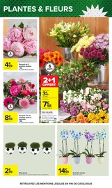 Promos Orchidée dans le catalogue "Carrefour" de Carrefour Orchidée en promo dans le catalogue Carrefour à la page 73