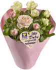 Hochland Rosenstrauß Fairtrade im Angebot bei E center in Konstanz Hochland Rosenstrauß Fairtrade Angebote von EDEKA Herzstücke bei E center Konstanz für 4,99 €