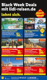 Bett Angebot im aktuellen Lidl Prospekt auf Seite 36