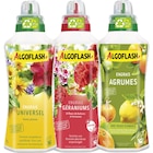 SUR TOUS LES ENGRAIS - ALGOFLASH - Carrefour SUR TOUS LES ENGRAIS - ALGOFLASH dans le catalogue Carrefour