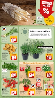 Spargel im aktuellen REWE Prospekt (Frankfurt (Main)) Spargel im REWE Prospekt "Dein Markt" mit 30 Seiten (Frankfurt (Main))