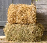 STROHBALLEN im Angebot bei Dehner Garten-Center in Neuss STROHBALLEN Angebote bei Dehner Garten-Center Neuss für 11,99 €