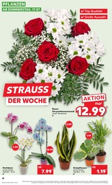 Aktueller Kaufland Prospekt mit Pflanzen, "Aktuelle Angebote", Seite 18