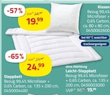 Kissen oder Steppbett Angebote bei ROLLER Paderborn für 19,99 €