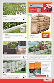 Zement Angebote im Prospekt "Die Profi-Baumärkte" von Hellweg auf Seite 5