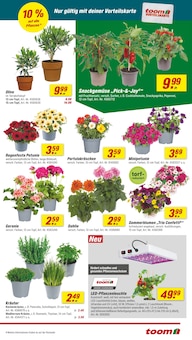 Blumentopf im aktuellen toom Baumarkt Prospekt (Bielefeld) Blumentopf im toom Baumarkt Prospekt "Respekt, wer's selber macht." mit 22 Seiten (Bielefeld)