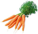 Bundmöhren im Angebot bei REWE in Freiberg Bundmöhren Angebote von REWE Regional bei REWE Freiberg für 1,11 €
