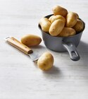 Pomme de terre de consommation lavée à Bi1 dans Annoire Pomme de terre de consommation lavée à Bi1 dans Annoire